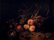 Still-Life with Fruit and Insects